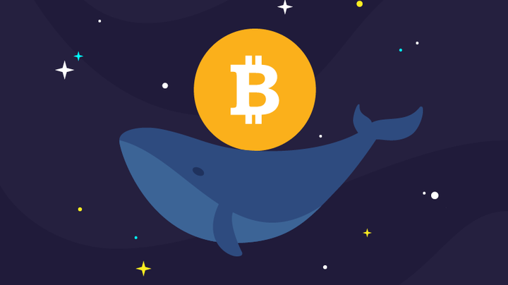 bitcoin-whale-transfers-104-million-worth-of-cryptos